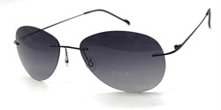 P8001 C2 POLAR 20598