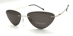 P8004 C5 POLAR 20606
