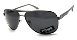 P038 C10 POLAR 20631