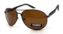 P1108 C2 POLAR 20640