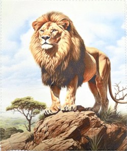 Салфетки Т-034 2012006970