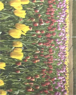 Салфетки Т-123 692485591