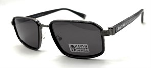 HAVVS_HV68119 B 20267