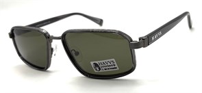 HAVVS_HV68119 D 20269