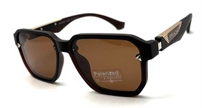 BR8960 C3 POLAR 20505