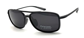 BR51001 C2 POLAR 20536