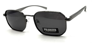 P2078 C2 POLAR 20580