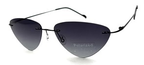 P8004 C2 POLAR 20603