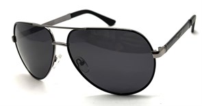 P17131 C2 POLAR 20647