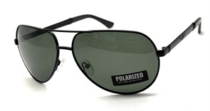 P17131 C5 POLAR 20649