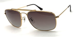 P17074 C4 POLAR 20650