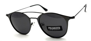 P17005 C1 POLAR 20661