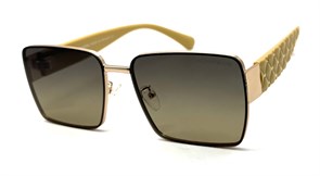 BRZ6033 C4 POLAR 20730