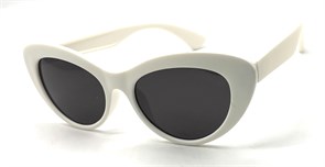 KD6069 C4 52-17-136 POLAR 20763