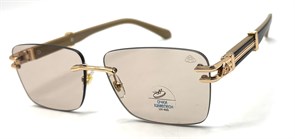 BR1A712BS C5 PHOTOCHROMIC 20855